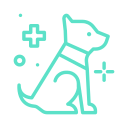 Pet Friendly Service,cars,minicabs,minicab,cabs,taxis,transfers